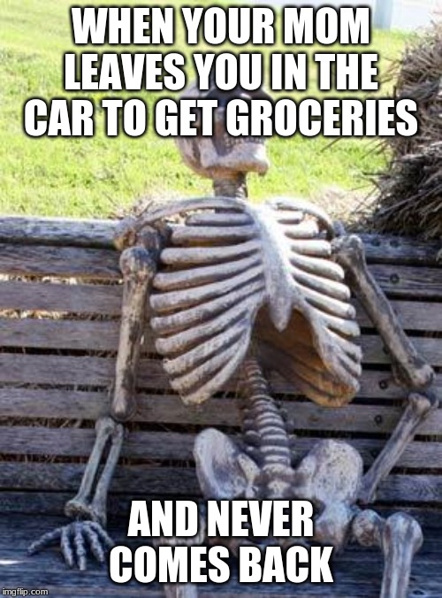 Waiting Skeleton | WHEN YOUR MOM LEAVES YOU IN THE CAR TO GET GROCERIES; AND NEVER COMES BACK | image tagged in memes,waiting skeleton | made w/ Imgflip meme maker