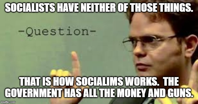 question asker | SOCIALISTS HAVE NEITHER OF THOSE THINGS. THAT IS HOW SOCIALIMS WORKS.  THE GOVERNMENT HAS ALL THE MONEY AND GUNS. | image tagged in question asker | made w/ Imgflip meme maker