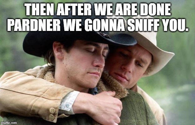 Brokeback Mountain | THEN AFTER WE ARE DONE PARDNER WE GONNA SNIFF YOU. | image tagged in brokeback mountain | made w/ Imgflip meme maker