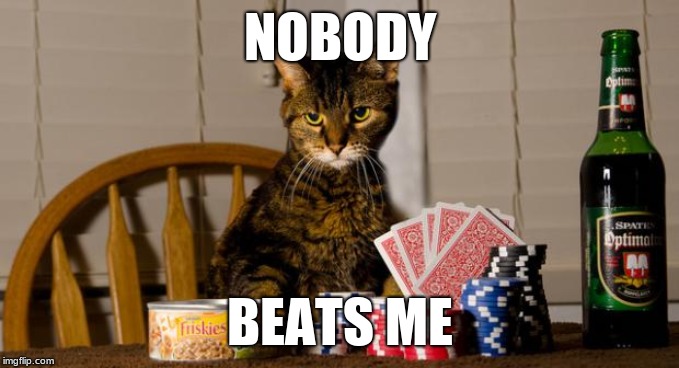 Poker Cat | NOBODY; BEATS ME | image tagged in poker cat | made w/ Imgflip meme maker