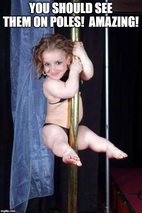 Midget Stripper | YOU SHOULD SEE THEM ON POLES!  AMAZING! | image tagged in midget stripper | made w/ Imgflip meme maker