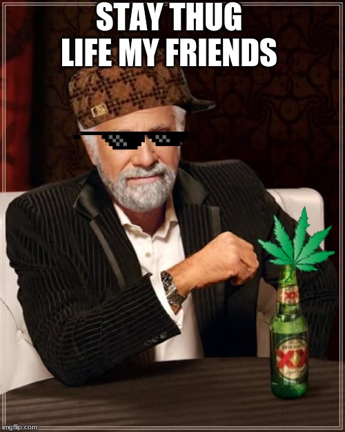 The Most Interesting Man In The World Meme | STAY THUG LIFE MY FRIENDS | image tagged in memes,the most interesting man in the world | made w/ Imgflip meme maker
