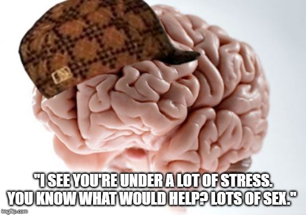 Scumbag Brain Meme | "I SEE YOU'RE UNDER A LOT OF STRESS. YOU KNOW WHAT WOULD HELP? LOTS OF SEX." | image tagged in memes,scumbag brain,AdviceAnimals | made w/ Imgflip meme maker