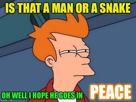 Futurama Fry Meme | IS THAT A MAN OR A SNAKE OH WELL I HOPE HE GOES IN PEACE | image tagged in memes,futurama fry | made w/ Imgflip meme maker
