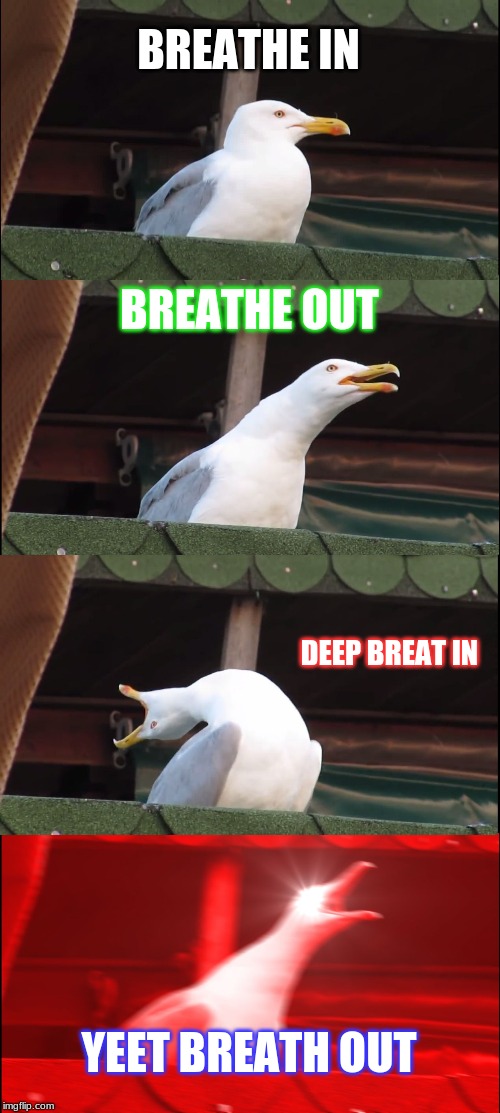 Inhaling Seagull Meme | BREATHE IN; BREATHE OUT; DEEP BREAT IN; YEET BREATH OUT | image tagged in memes,inhaling seagull | made w/ Imgflip meme maker