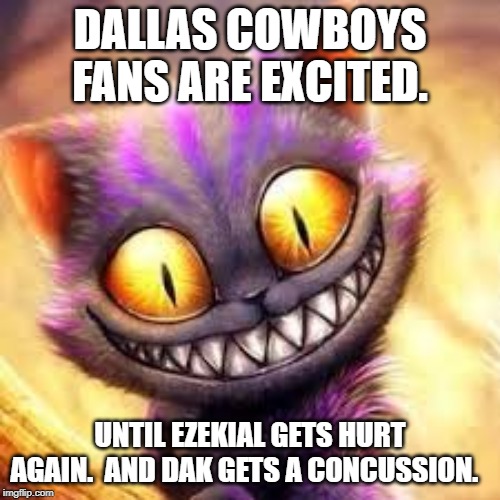 Crazy cat | DALLAS COWBOYS FANS ARE EXCITED. UNTIL EZEKIAL GETS HURT AGAIN.  AND DAK GETS A CONCUSSION. | image tagged in crazy cat | made w/ Imgflip meme maker
