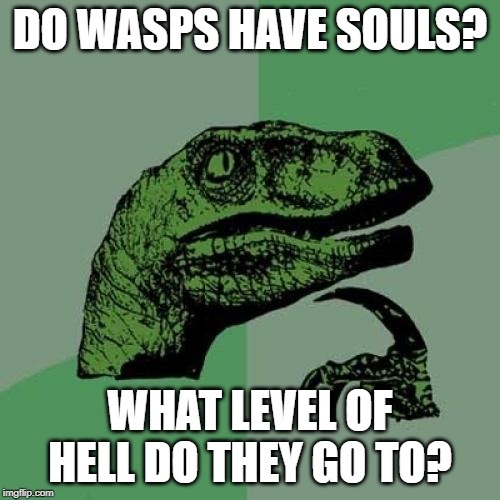 Philosoraptor Meme | DO WASPS HAVE SOULS? WHAT LEVEL OF HELL DO THEY GO TO? | image tagged in memes,philosoraptor | made w/ Imgflip meme maker