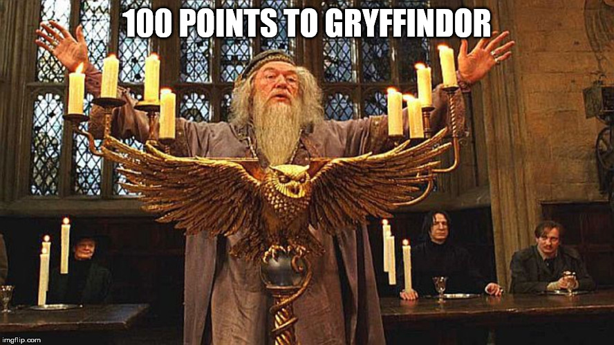 100 Points to Gryffindor | 100 POINTS TO GRYFFINDOR | image tagged in 100 points to gryffindor | made w/ Imgflip meme maker