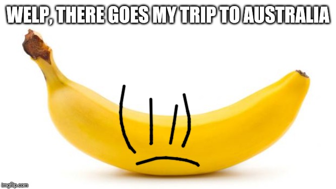 Banana | WELP, THERE GOES MY TRIP TO AUSTRALIA | image tagged in banana | made w/ Imgflip meme maker