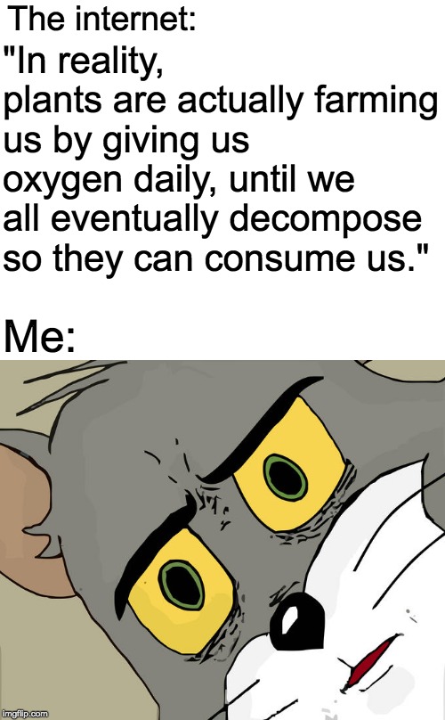 Unsettled Tom Meme | The internet:; "In reality, plants are actually farming us by giving us oxygen daily, until we all eventually decompose so they can consume us."; Me: | image tagged in memes,unsettled tom | made w/ Imgflip meme maker