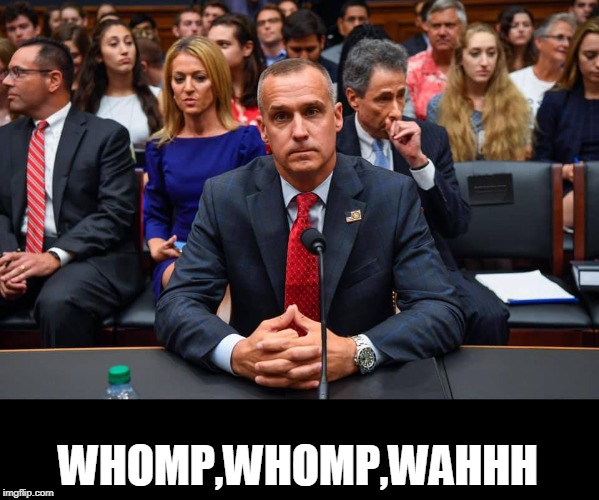 the sound of the circus horn | WHOMP,WHOMP,WAHHH | image tagged in corey lewendowski,clown show | made w/ Imgflip meme maker