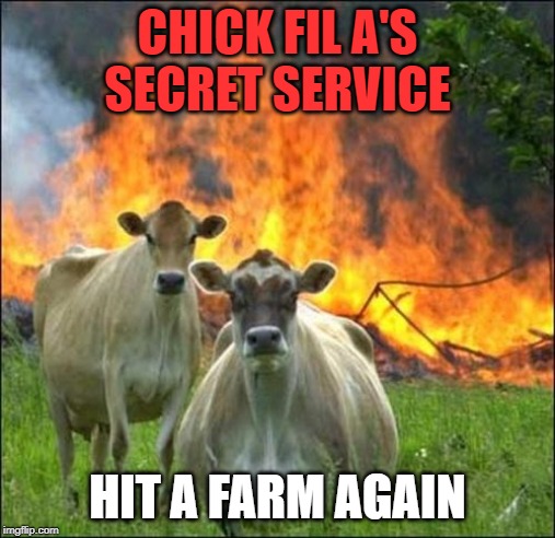 Evil Cows | CHICK FIL A'S SECRET SERVICE; HIT A FARM AGAIN | image tagged in memes,evil cows | made w/ Imgflip meme maker