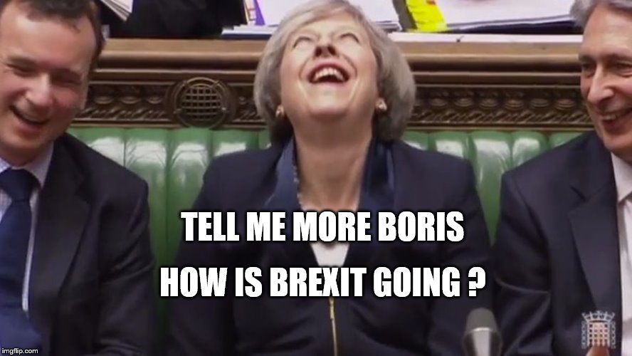 teresa may lol | TELL ME MORE BORIS; HOW IS BREXIT GOING ? | image tagged in teresa may lol | made w/ Imgflip meme maker