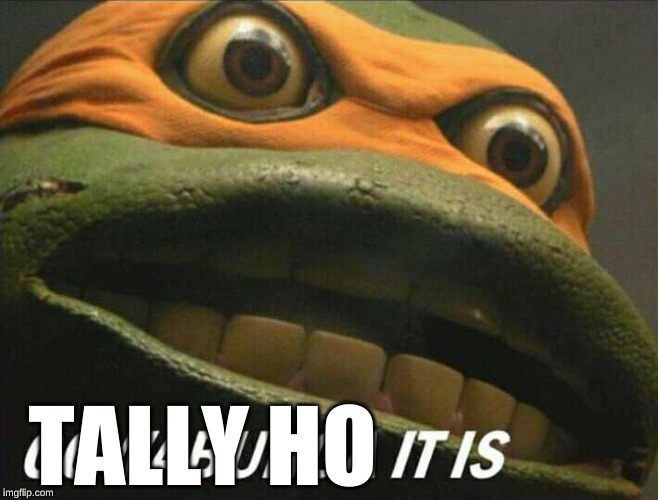 Cowabunga it is | TALLY HO | image tagged in cowabunga it is | made w/ Imgflip meme maker