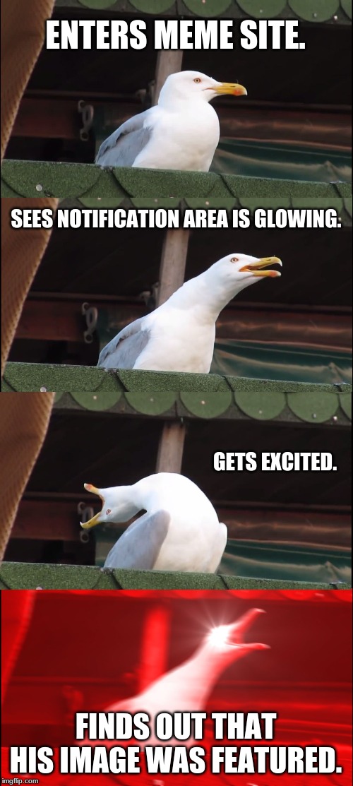 Inhaling Seagull Meme | ENTERS MEME SITE. SEES NOTIFICATION AREA IS GLOWING. GETS EXCITED. FINDS OUT THAT HIS IMAGE WAS FEATURED. | image tagged in memes,inhaling seagull | made w/ Imgflip meme maker