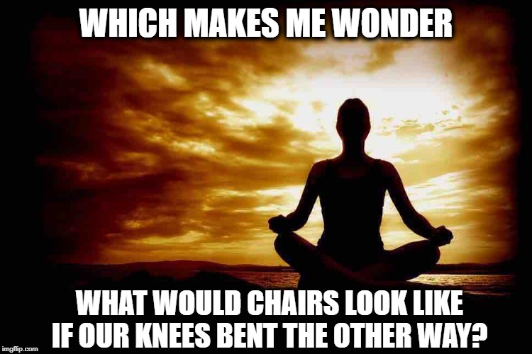 A Few Zen Thoughts For Those Who Take Life Too Seriously | WHICH MAKES ME WONDER WHAT WOULD CHAIRS LOOK LIKE IF OUR KNEES BENT THE OTHER WAY? | image tagged in a few zen thoughts for those who take life too seriously | made w/ Imgflip meme maker