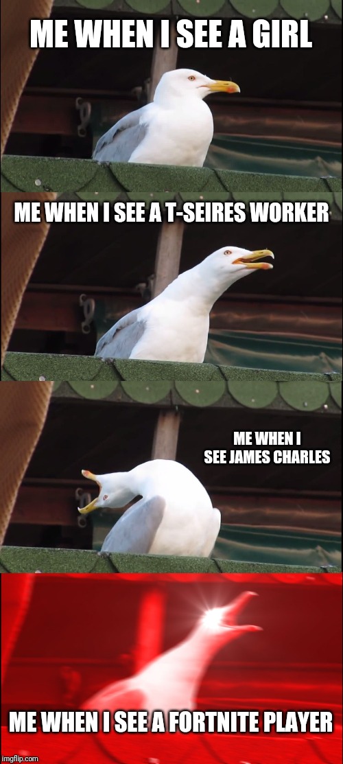 Inhaling Seagull Meme | ME WHEN I SEE A GIRL; ME WHEN I SEE A T-SEIRES WORKER; ME WHEN I SEE JAMES CHARLES; ME WHEN I SEE A FORTNITE PLAYER | image tagged in memes,inhaling seagull | made w/ Imgflip meme maker