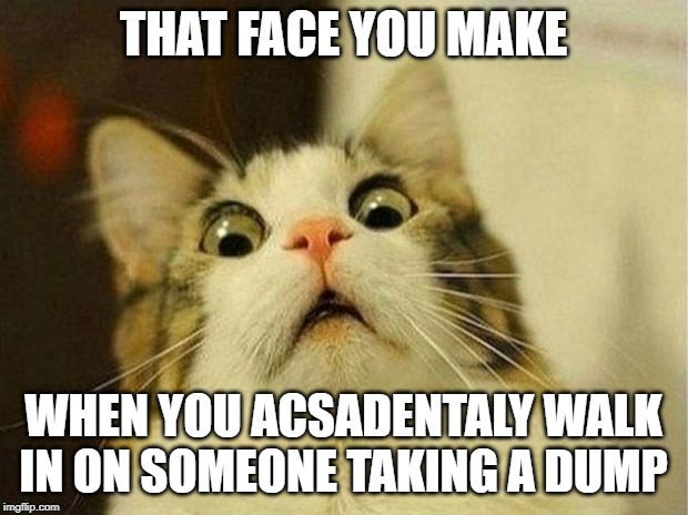 Scared Cat | THAT FACE YOU MAKE; WHEN YOU ACSADENTALY WALK IN ON SOMEONE TAKING A DUMP | image tagged in memes,scared cat | made w/ Imgflip meme maker