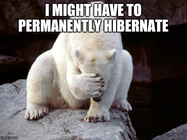 Polar Bear | I MIGHT HAVE TO PERMANENTLY HIBERNATE | image tagged in polar bear | made w/ Imgflip meme maker