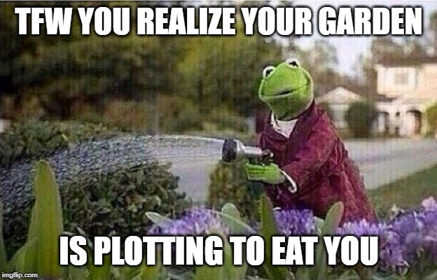 Kermit Watering Plants | TFW YOU REALIZE YOUR GARDEN IS PLOTTING TO EAT YOU | image tagged in kermit watering plants | made w/ Imgflip meme maker