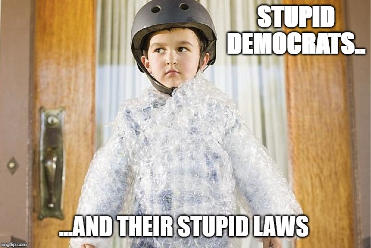 Stupid Democrats | STUPID DEMOCRATS.. ...AND THEIR STUPID LAWS | image tagged in stupid democrats | made w/ Imgflip meme maker
