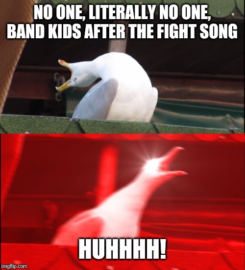 Screaming bird | NO ONE, LITERALLY NO ONE, BAND KIDS AFTER THE FIGHT SONG; HUHHHH! | image tagged in screaming bird | made w/ Imgflip meme maker