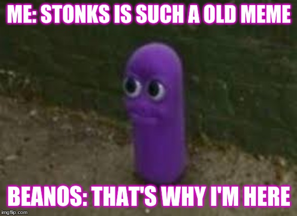 Beanos | ME: STONKS IS SUCH A OLD MEME; BEANOS: THAT'S WHY I'M HERE | image tagged in beanos | made w/ Imgflip meme maker