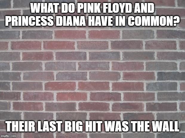 Another Brick... | WHAT DO PINK FLOYD AND PRINCESS DIANA HAVE IN COMMON? THEIR LAST BIG HIT WAS THE WALL | image tagged in the wall | made w/ Imgflip meme maker