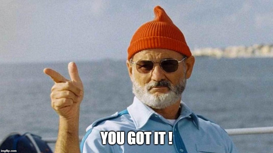 You got it | YOU GOT IT ! | image tagged in you got it | made w/ Imgflip meme maker