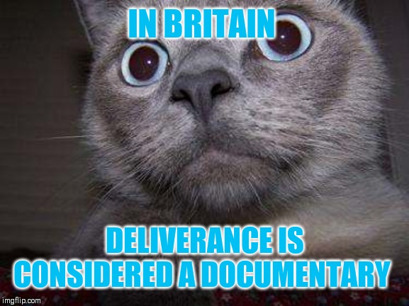 Freaky eye cat | IN BRITAIN DELIVERANCE IS CONSIDERED A DOCUMENTARY | image tagged in freaky eye cat | made w/ Imgflip meme maker