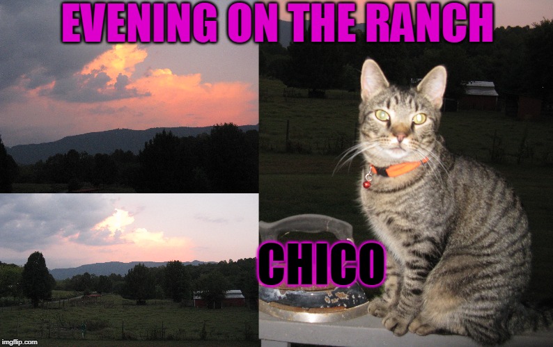 EVENING ON THE RANCH; CHICO | made w/ Imgflip meme maker