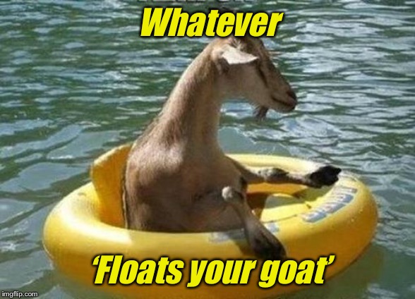 Whatever ‘Floats your goat’ | image tagged in memes | made w/ Imgflip meme maker