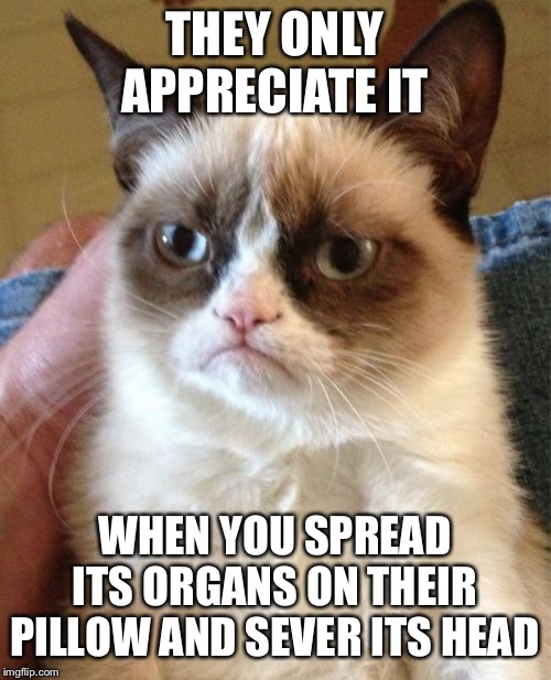 Grumpy Cat Meme | THEY ONLY APPRECIATE IT WHEN YOU SPREAD ITS ORGANS ON THEIR PILLOW AND SEVER ITS HEAD | image tagged in memes,grumpy cat | made w/ Imgflip meme maker