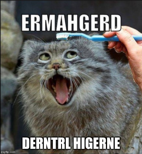 ERMAHGERD TOOTHBRUSH | DERNTRL HIGERNE | image tagged in ermahgerd toothbrush | made w/ Imgflip meme maker
