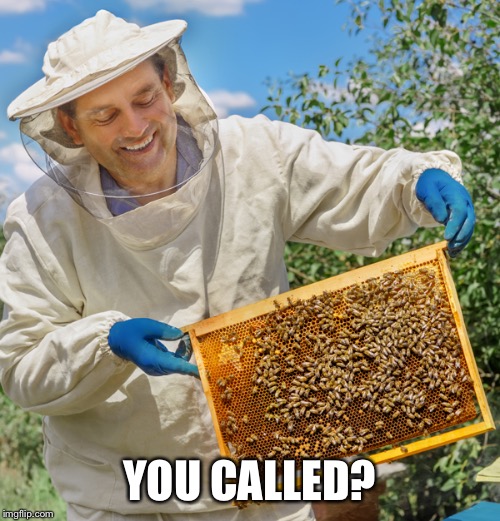 Beekeeper catch no feelings | YOU CALLED? | image tagged in beekeeper catch no feelings | made w/ Imgflip meme maker