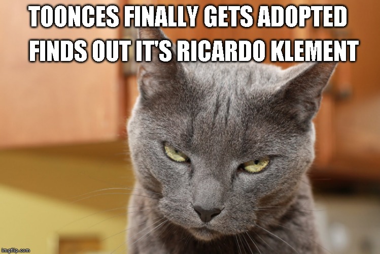 Roast Ricardo Week: Just let him drive already | FINDS OUT IT'S RICARDO KLEMENT; TOONCES FINALLY GETS ADOPTED | image tagged in try me,roast ricardo week | made w/ Imgflip meme maker