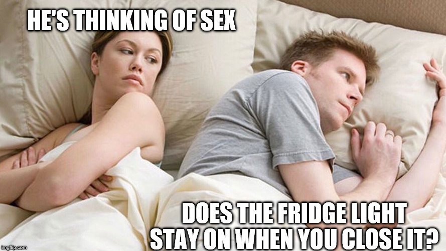 couple in bed | HE'S THINKING OF SEX; DOES THE FRIDGE LIGHT STAY ON WHEN YOU CLOSE IT? | image tagged in couple in bed | made w/ Imgflip meme maker