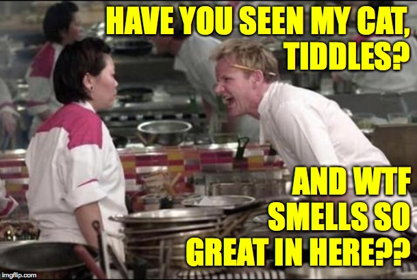 Angry Chef Gordon Ramsay | HAVE YOU SEEN MY CAT,
TIDDLES? AND WTF SMELLS SO GREAT IN HERE?? | image tagged in memes,angry chef gordon ramsay,cats,tiddles,yummy,wtf | made w/ Imgflip meme maker