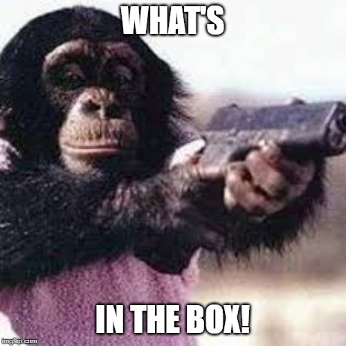 Chimp packing heat | WHAT'S; IN THE BOX! | image tagged in chimp packing heat | made w/ Imgflip meme maker