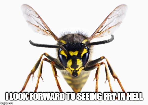 Scumbag Wasp | I LOOK FORWARD TO SEEING FRY IN HELL | image tagged in scumbag wasp | made w/ Imgflip meme maker