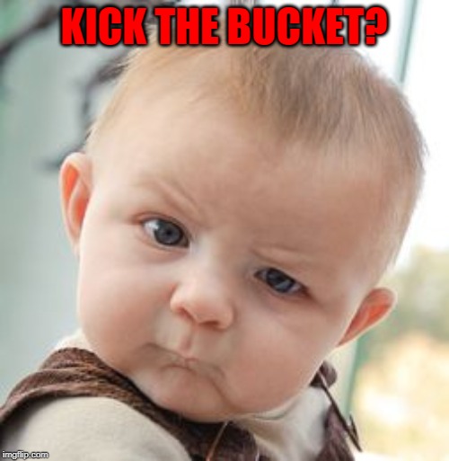 Skeptical Baby Meme | KICK THE BUCKET? | image tagged in memes,skeptical baby | made w/ Imgflip meme maker