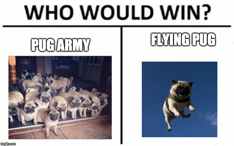 Who Would Win? | FLYING PUG; PUG ARMY | image tagged in memes,who would win | made w/ Imgflip meme maker