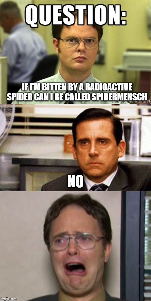 Spidermensch | IF I'M BITTEN BY A RADIOACTIVE SPIDER CAN I BE CALLED SPIDERMENSCH; NO | image tagged in michael scott angry stare,dwight question,dwight crying,spiderman,stupid question,burned | made w/ Imgflip meme maker