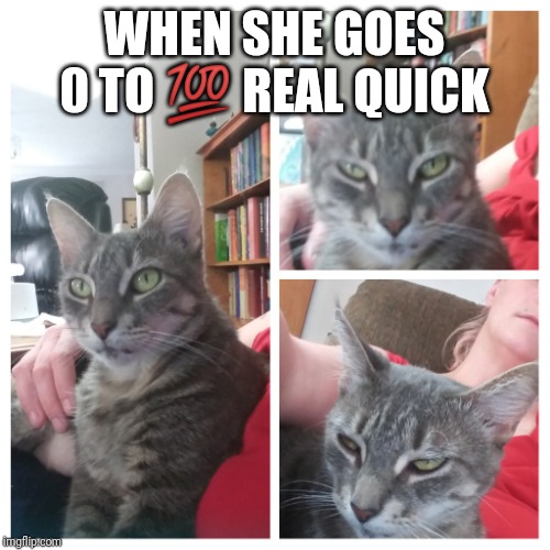 Really kitty | WHEN SHE GOES 0 TO 💯 REAL QUICK | image tagged in really kitty | made w/ Imgflip meme maker