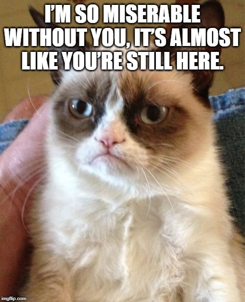 Grumpy Cat | I’M SO MISERABLE WITHOUT YOU, IT’S ALMOST LIKE YOU’RE STILL HERE. | image tagged in memes,grumpy cat | made w/ Imgflip meme maker