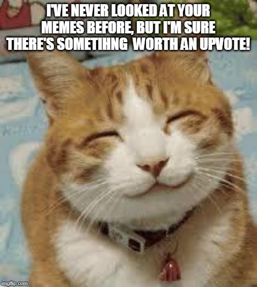 Happy cat | I'VE NEVER LOOKED AT YOUR MEMES BEFORE, BUT I'M SURE THERE'S SOMETIHNG  WORTH AN UPVOTE! | image tagged in happy cat | made w/ Imgflip meme maker