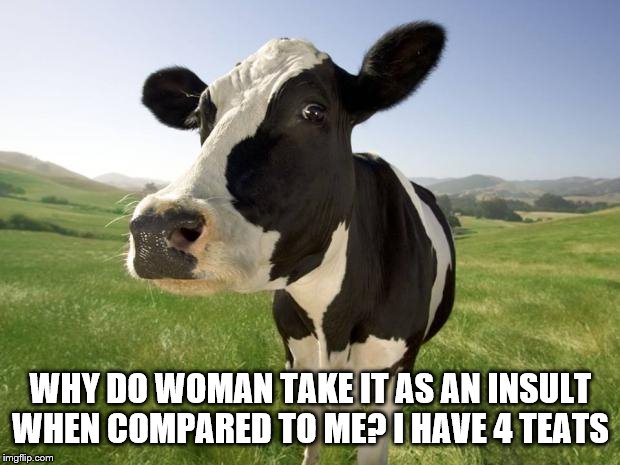 Cows give us so much, don't be insulted to be compared to me. | WHY DO WOMAN TAKE IT AS AN INSULT WHEN COMPARED TO ME? I HAVE 4 TEATS | image tagged in cow | made w/ Imgflip meme maker