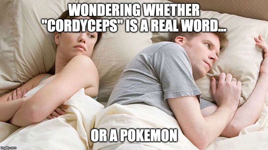 Cordycep conundrum | WONDERING WHETHER "CORDYCEPS" IS A REAL WORD... OR A POKEMON | image tagged in couple in bed,pokemon,bed,shower thoughts | made w/ Imgflip meme maker