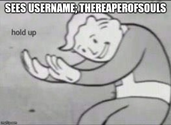 Fallout Hold Up | SEES USERNAME; THEREAPEROFSOULS | image tagged in fallout hold up | made w/ Imgflip meme maker