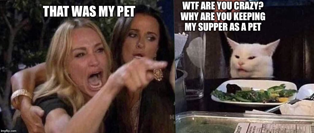 woman yelling at cat | THAT WAS MY PET WTF ARE YOU CRAZY? WHY ARE YOU KEEPING MY SUPPER AS A PET | image tagged in woman yelling at cat | made w/ Imgflip meme maker
